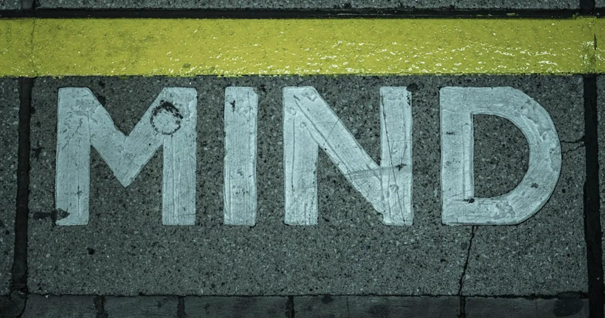 yellow and black pedestrian line yellow and black pedestrian line