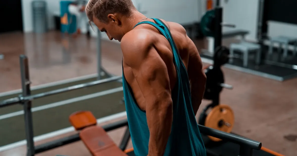 man exercising in dip station man exercising in dip station